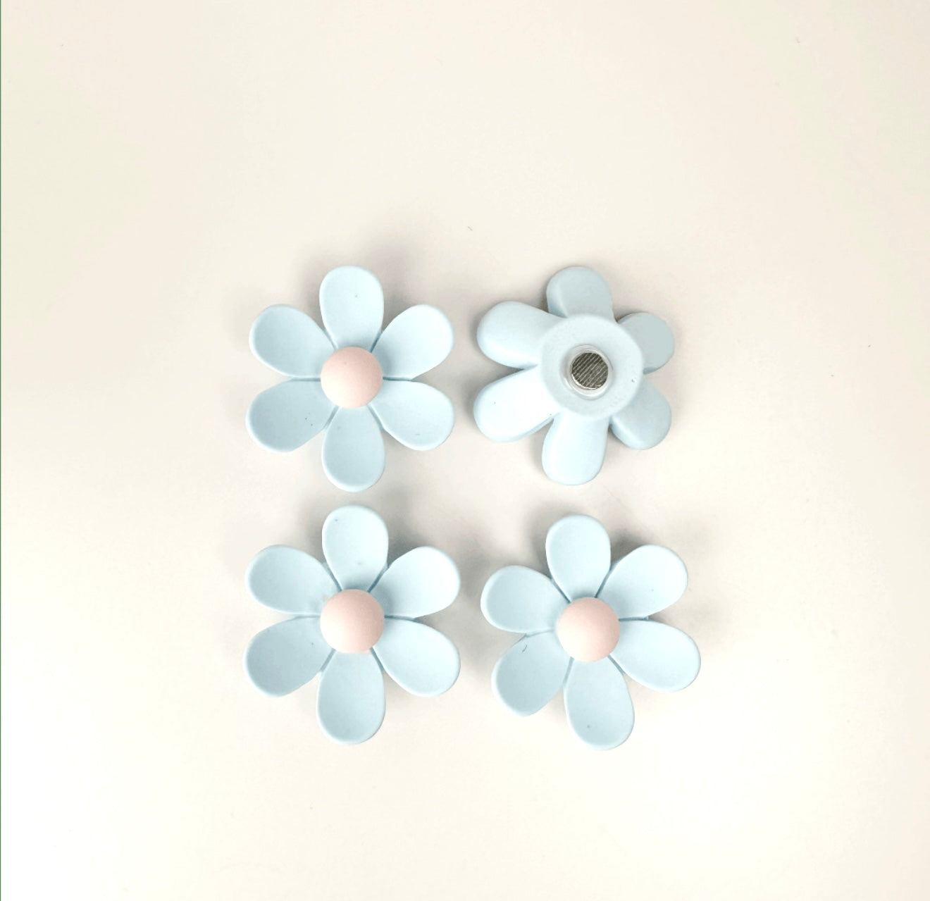 Imanes De Flores (Variedad)