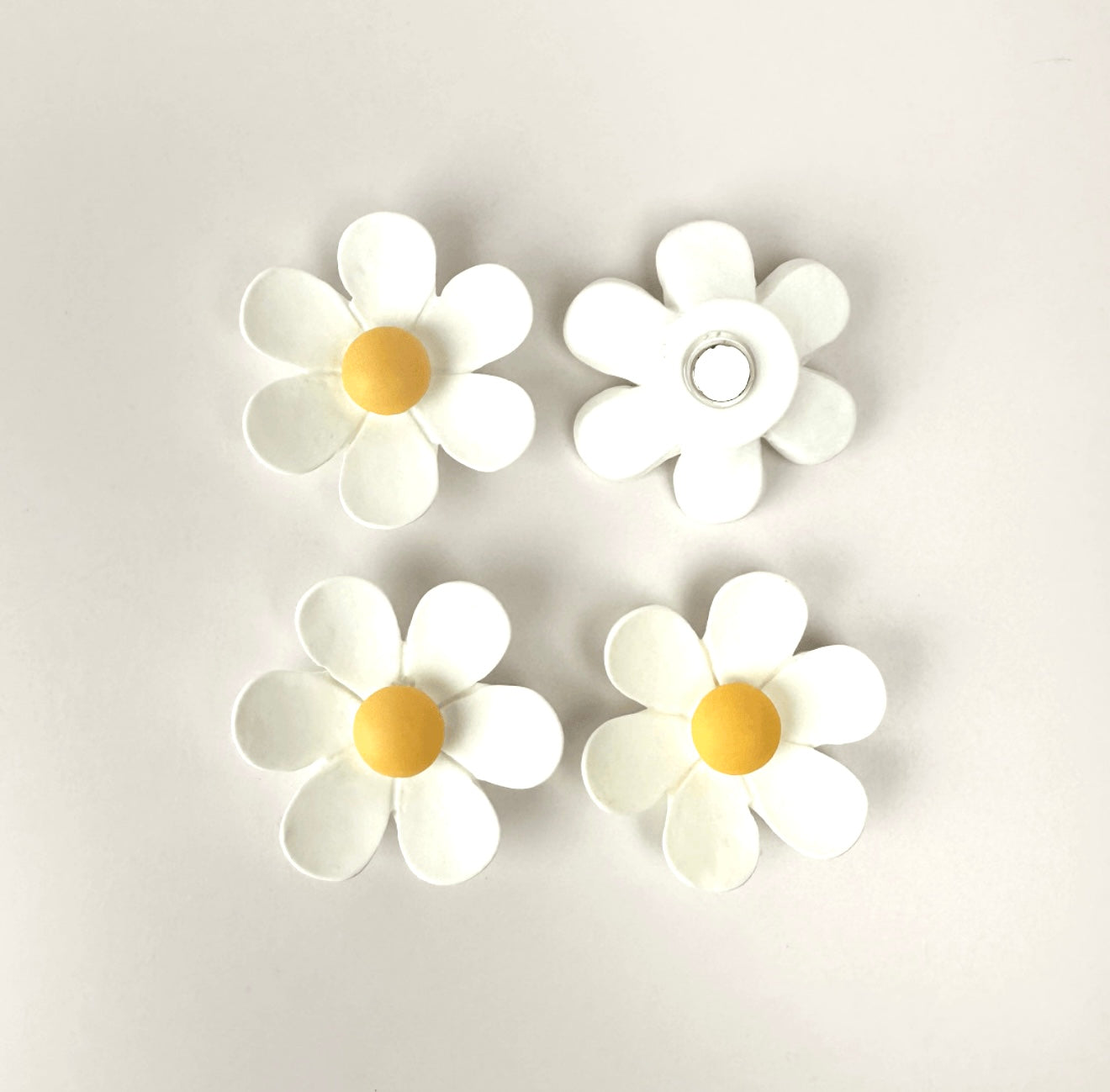 Imanes De Flores (Variedad)