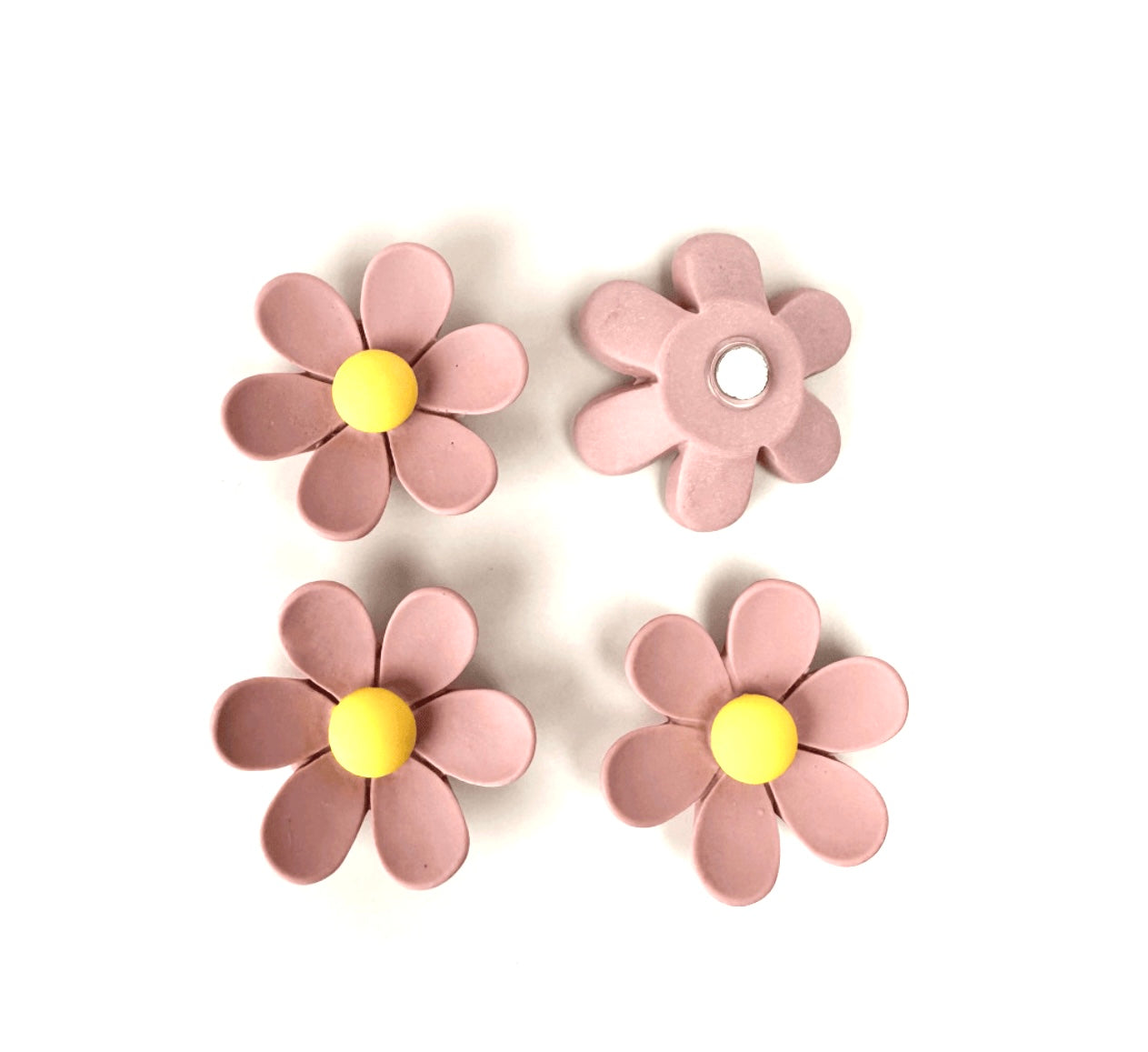 Imanes De Flores (Variedad)