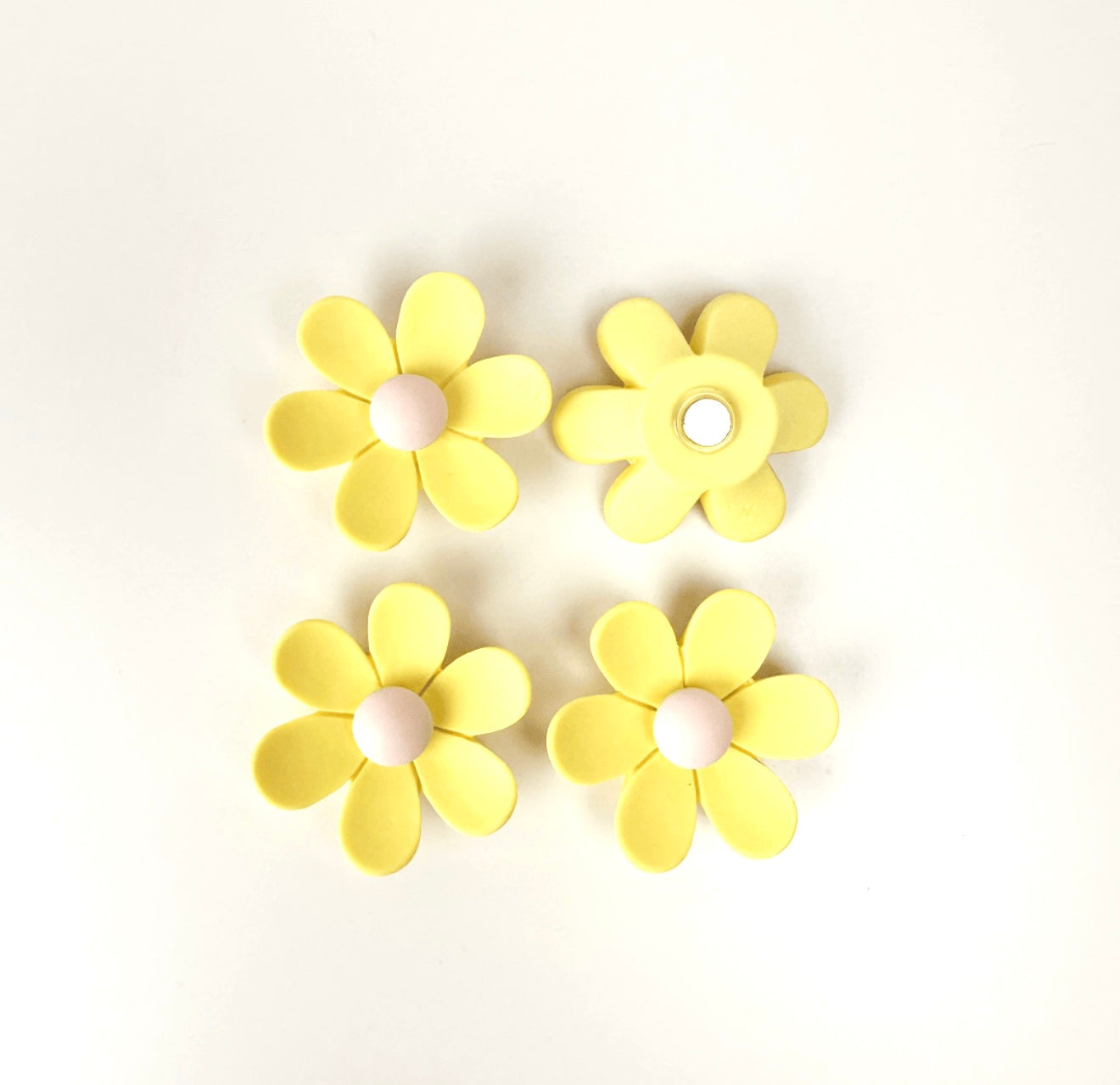 Imanes De Flores (Variedad)
