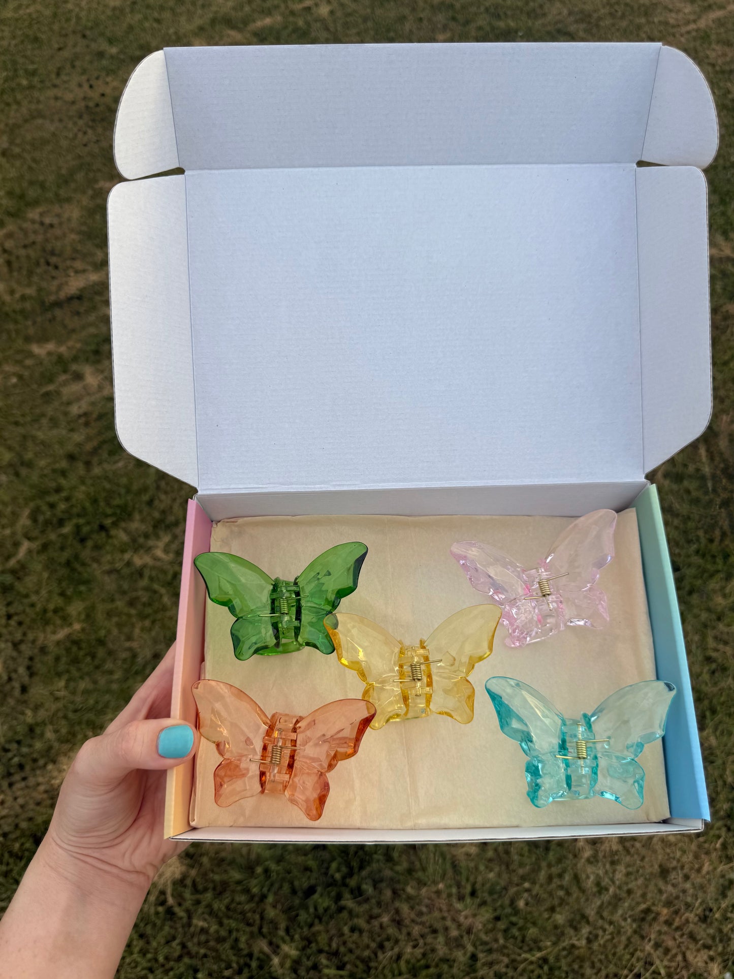 Caja Surtida con Pinches en Mariposa - 5 Unidades