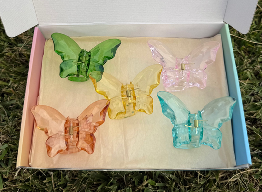 Caja Surtida con Pinches en Mariposa - 5 Unidades